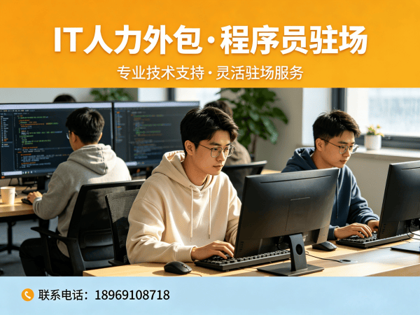 武汉IT人力外包解决方案：破解企业技术团队搭建难题